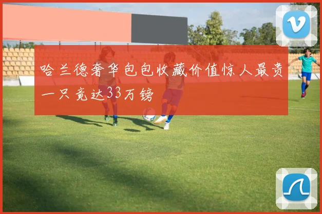 哈兰德奢华包包收藏价值惊人最贵一只竟达33万镑