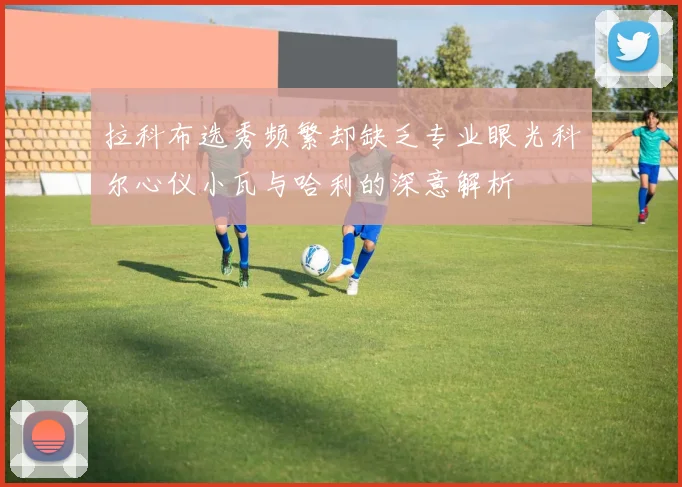 拉科布选秀频繁却缺乏专业眼光科尔心仪小瓦与哈利的深意解析