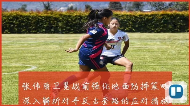 张伟丽卫冕战前强化地面防摔策略深入解析对手反击套路的应对措施