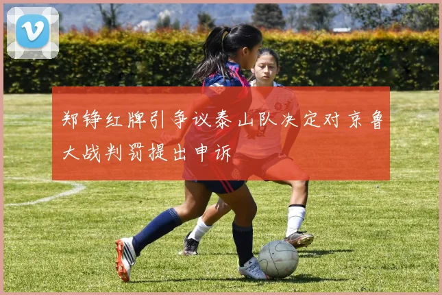 郑铮红牌引争议泰山队决定对京鲁大战判罚提出申诉